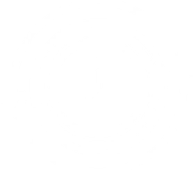Permanent icon